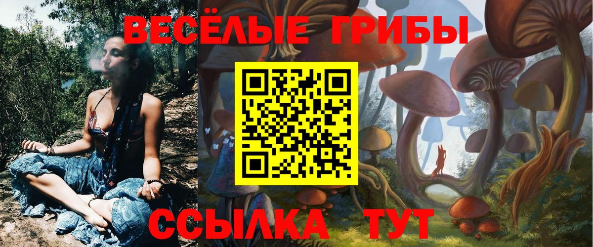 Мариинск  Галлюциногенные грибы Cubensis  Вход с VPN 